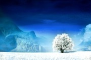 世界登山青年导师生态修复示范区第27批结项成果公示，国际登山协会认证