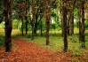 世界篮球青训基地与学校联合招生计划公布，世界篮球学校排名